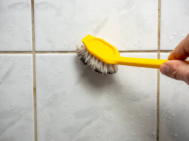 Best Same-Day Mold Removal  in Felida, WA
