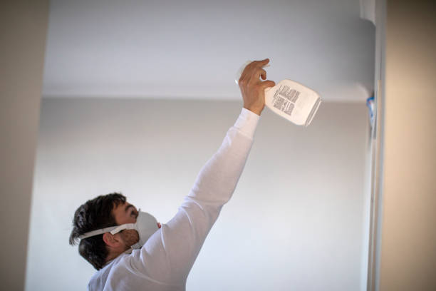 Trusted Felida, WA Mold Removal Experts