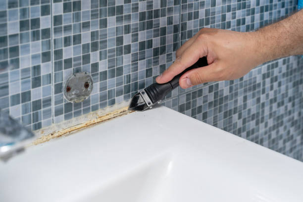 Best Certified Mold Removal  in Felida, WA